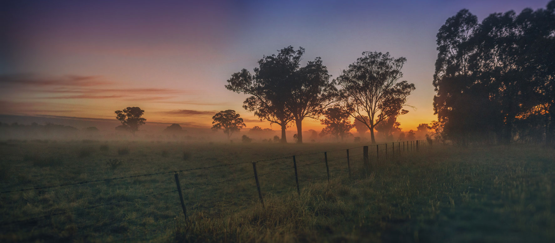 Photography Workshop - Sunrise and fog in country Victoria - Copyright © Jamie Dale Photography